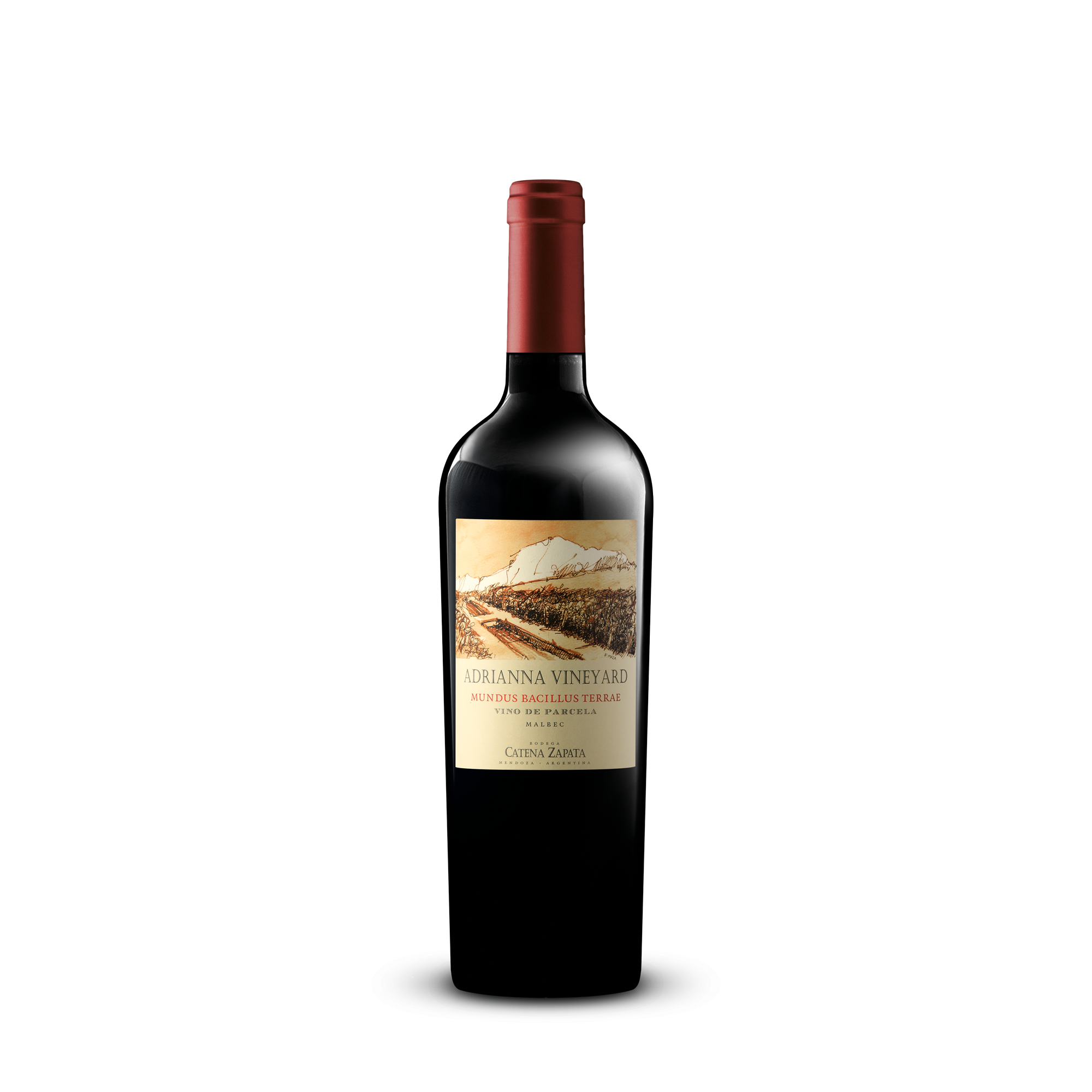 Adrianna Mundus Bacillus Terrae · Malbec