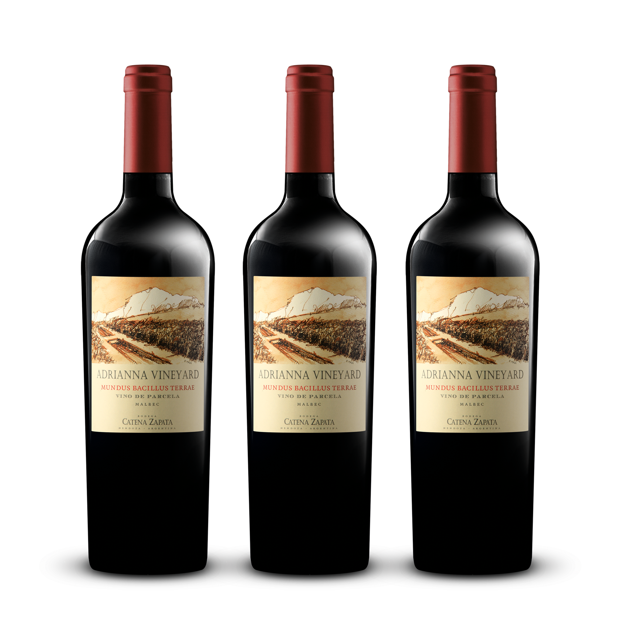 Adrianna Mundus Bacillus Terrae · Malbec