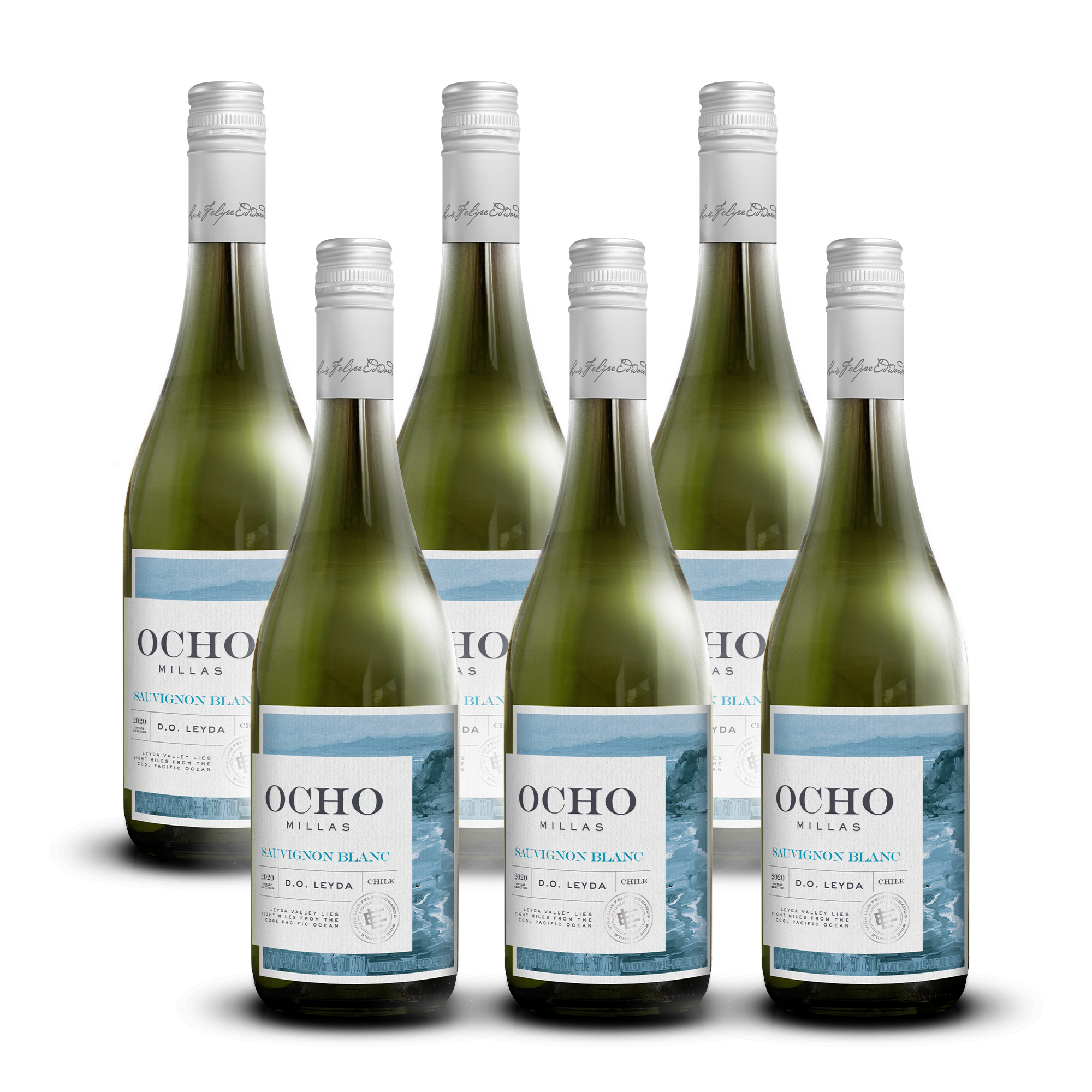 Ocho Millas · Sauvignon Blanc