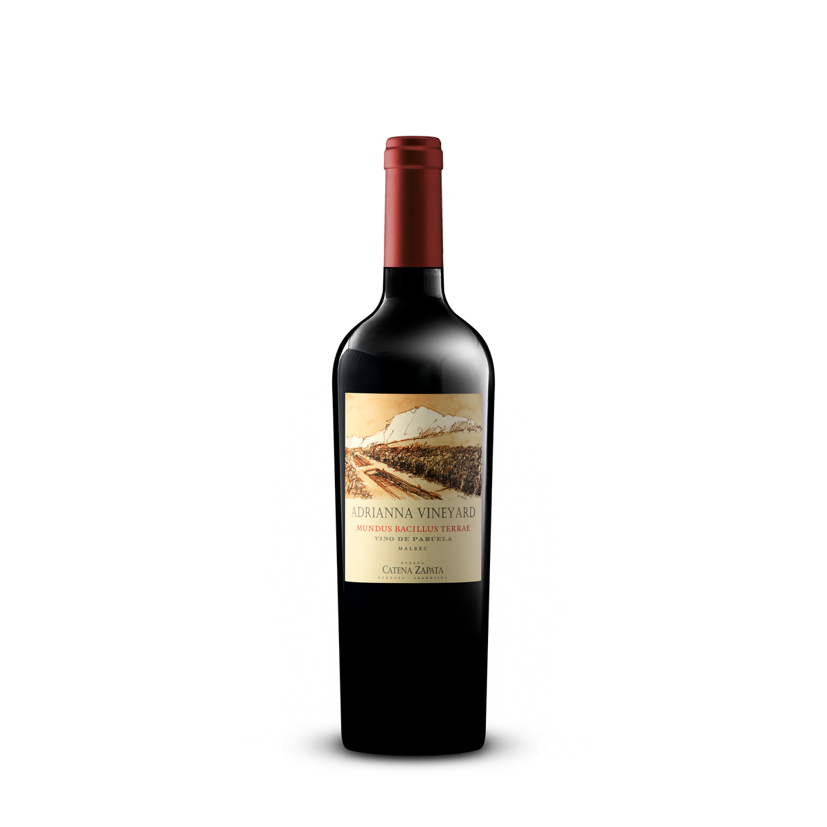 Adrianna Mundus Bacillus Terrae  ·  Malbec - BOTELLA INDIVIDUAL