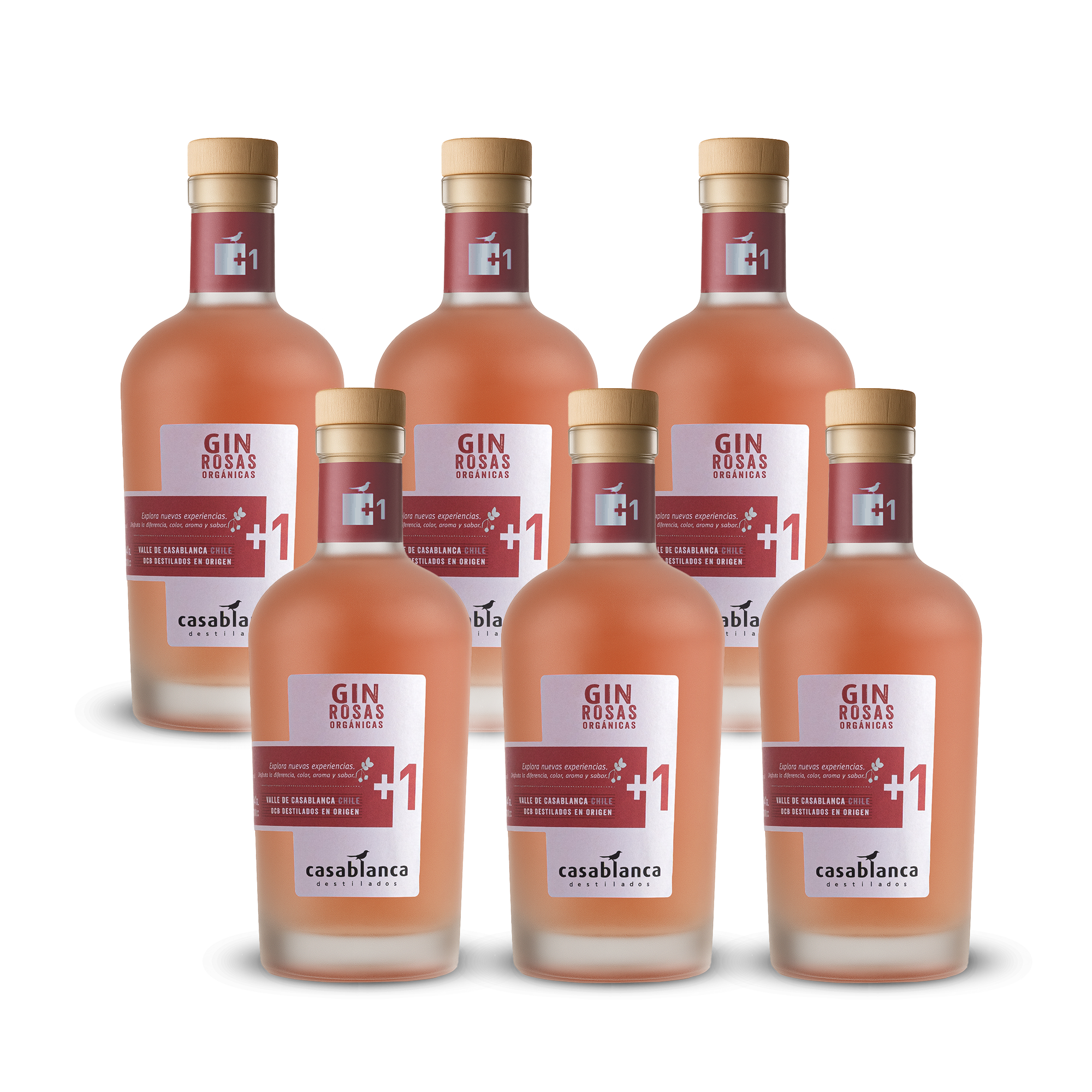 Gin +1 Rosas