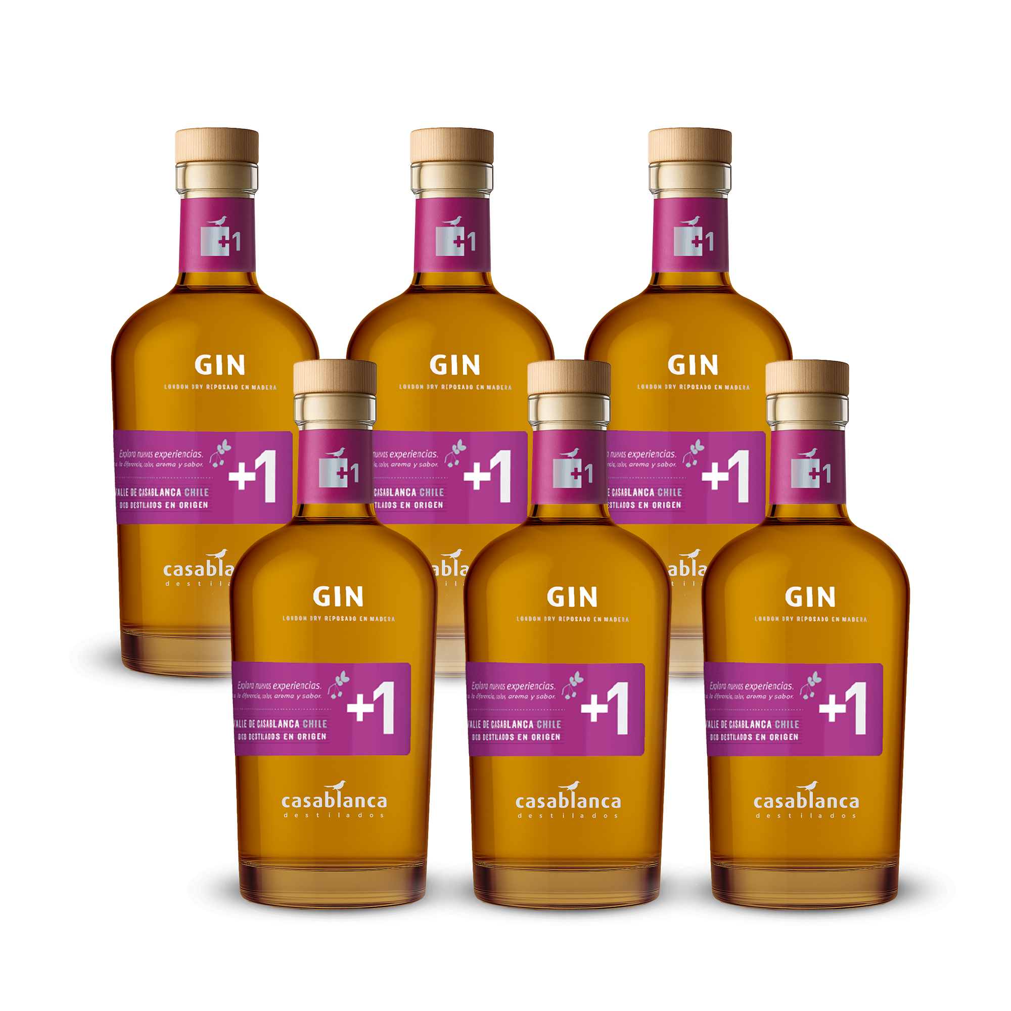 Gin +1